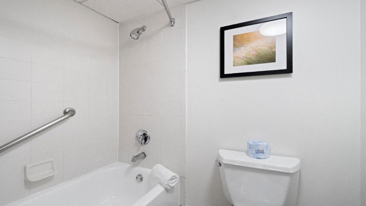 שרלוט 315 Loso Hotel Airport מראה חיצוני תמונה