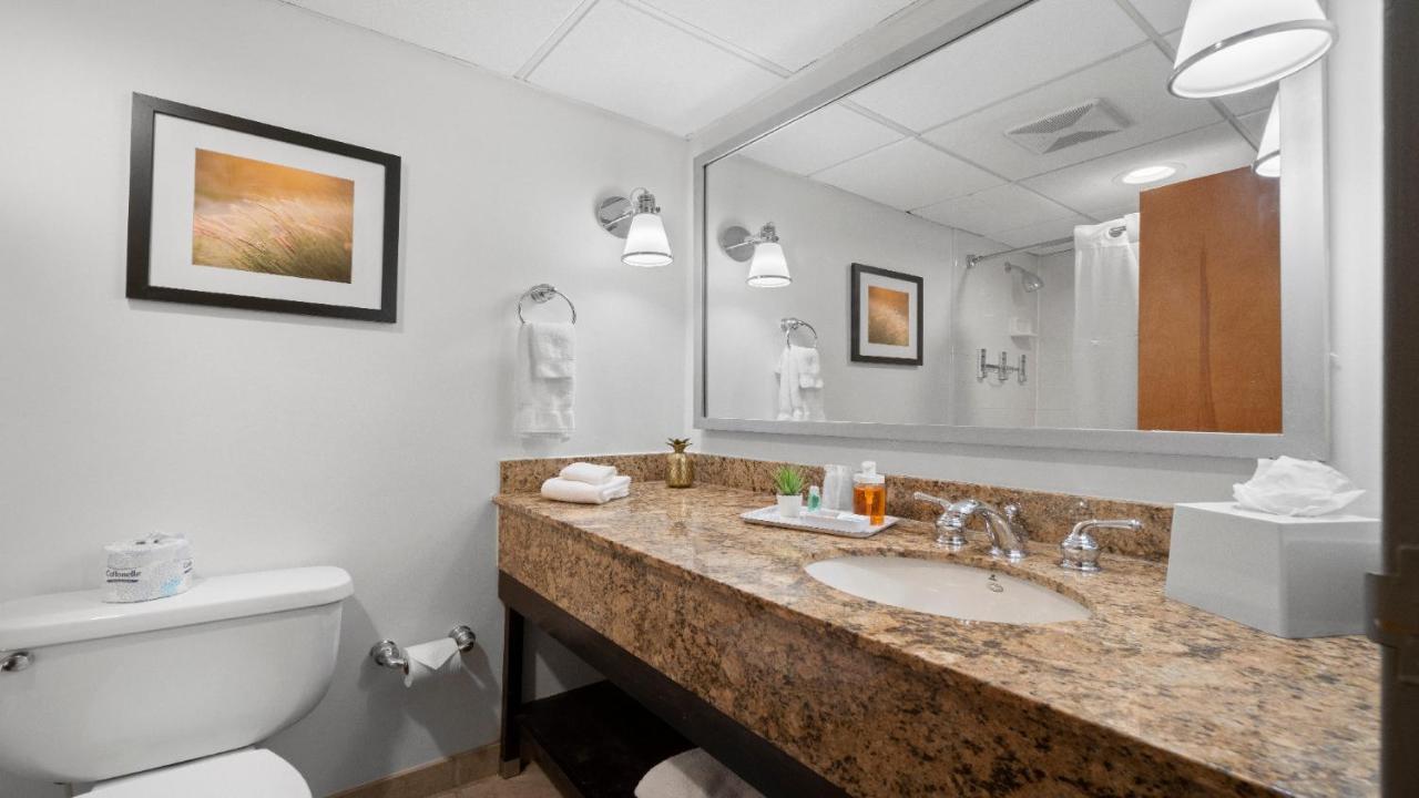 שרלוט 315 Loso Hotel Airport מראה חיצוני תמונה
